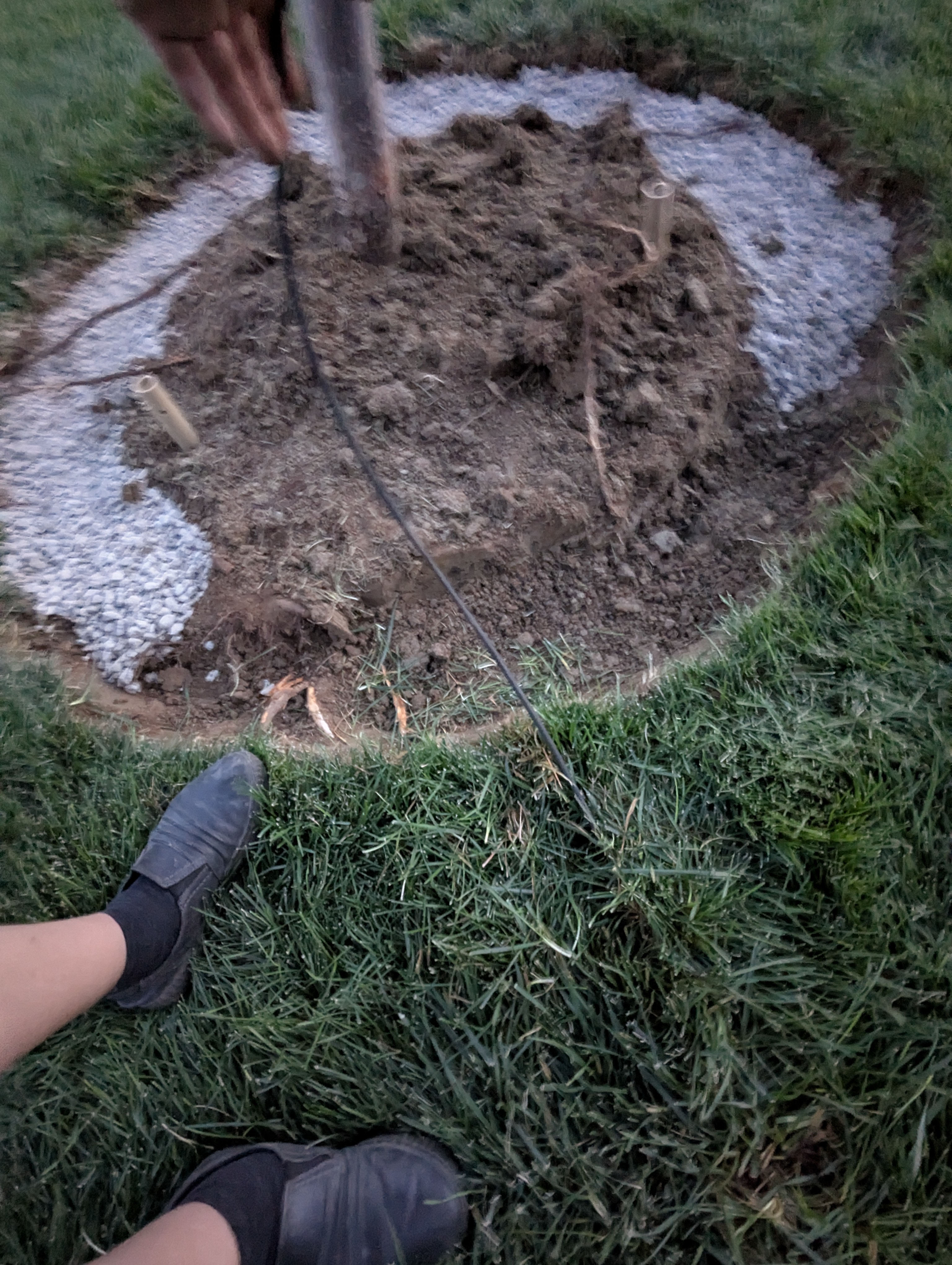 Tree Ring, Home Improvement, Morrison, Colorado